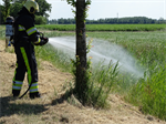 Prio 2 Berm Ruigte Brand Willem Loreweg Kollum